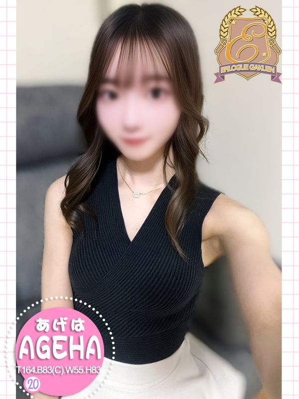 あげはの写真1
