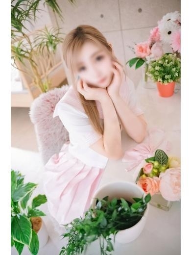 くらげの写真2